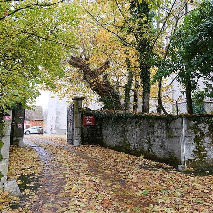 Photo de Château de Saint-Sixte