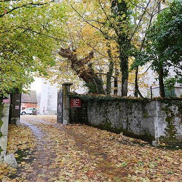 Château de Saint-Sixte