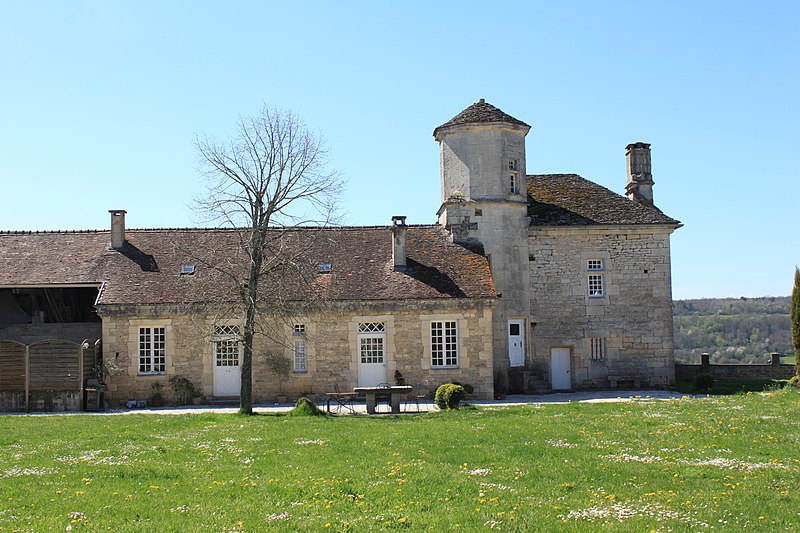 Château de Salmaise