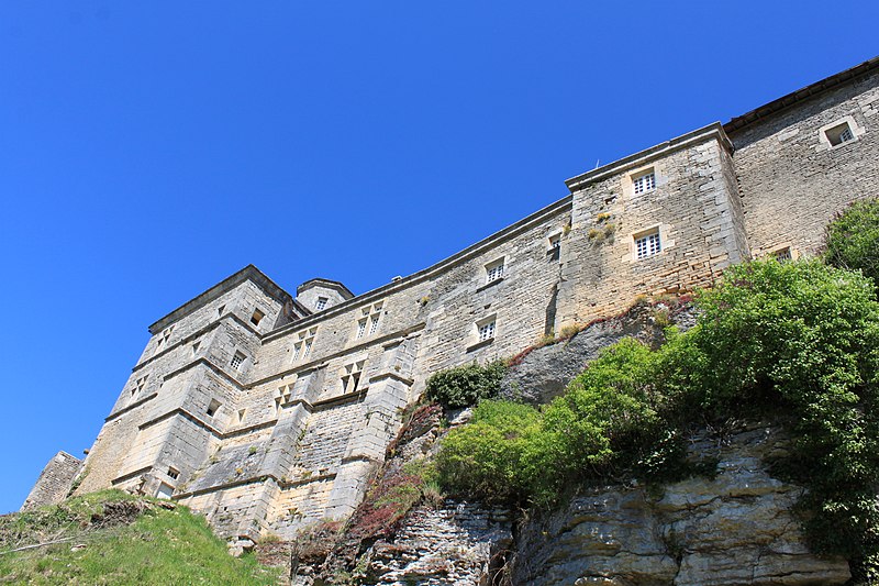 Château de Salmaise