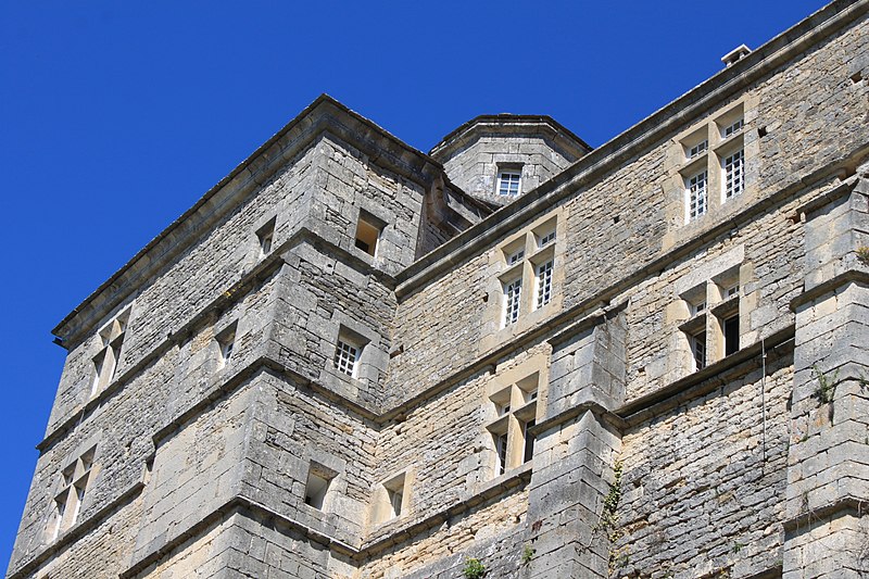 Château de Salmaise