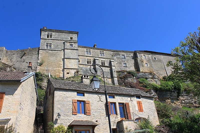 Château de Salmaise