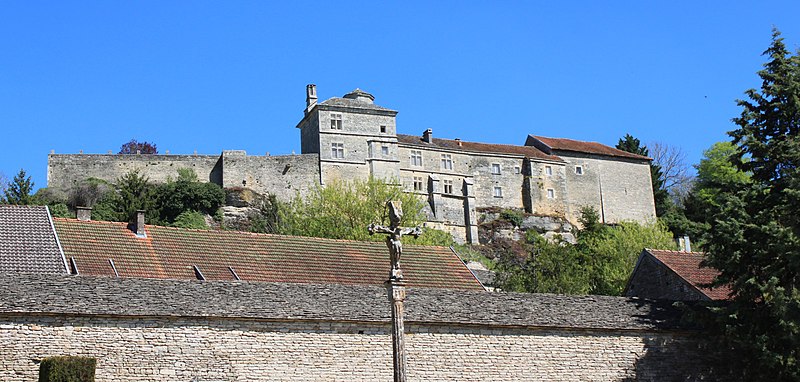 Château de Salmaise