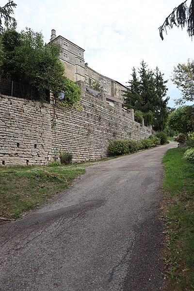 Château de Salmaise