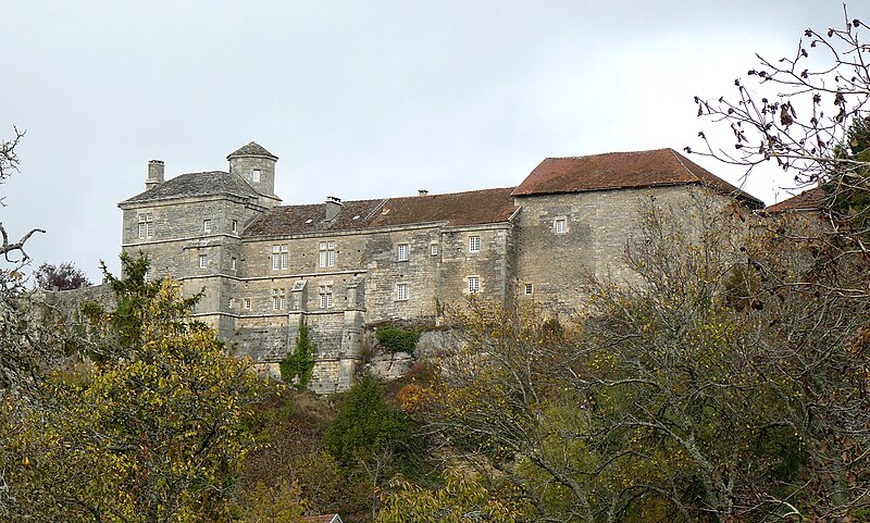 Château de Salmaise