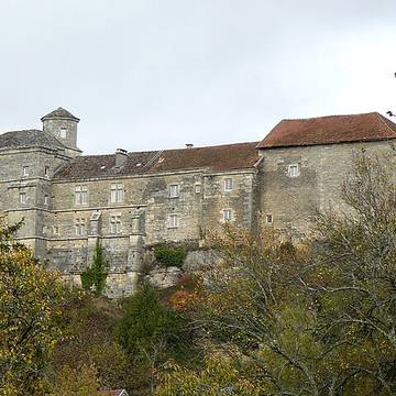 Château de Salmaise