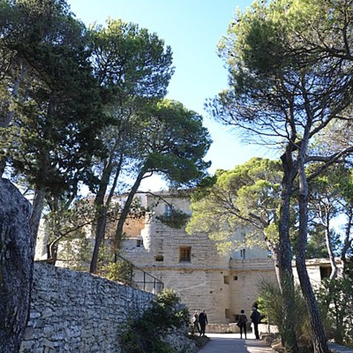 Photo de Château de Saumane