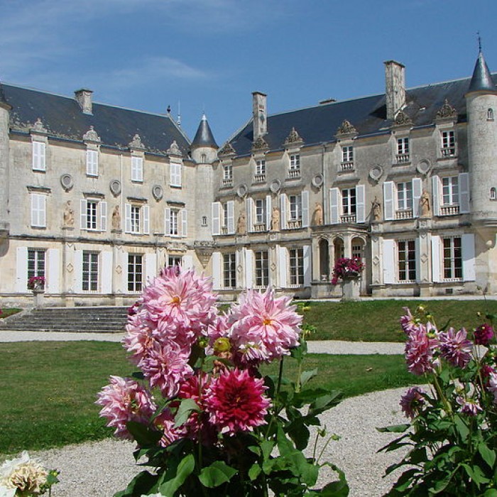 Photo de Château de Terre-Neuve