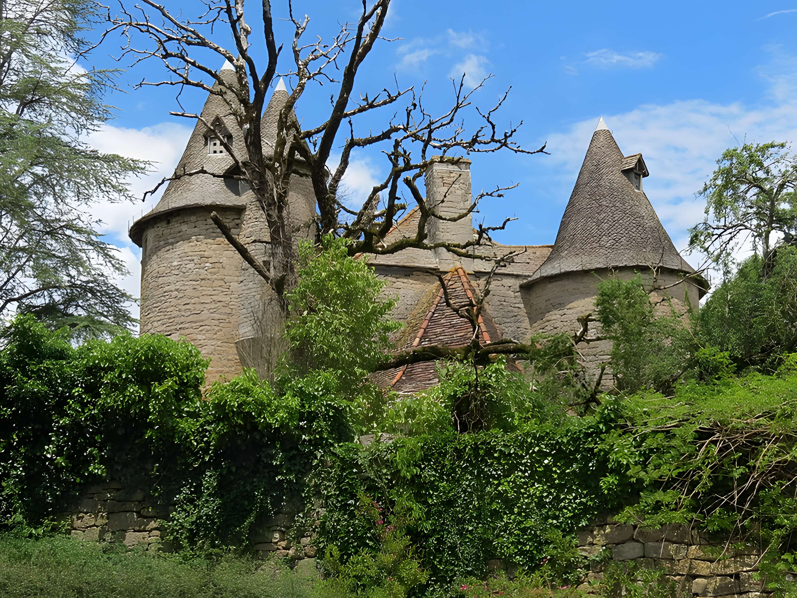 Château de Thégra