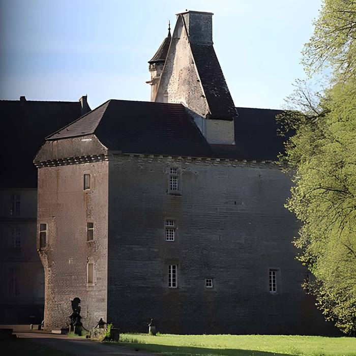 Photo de Vieux château de Thenissey
