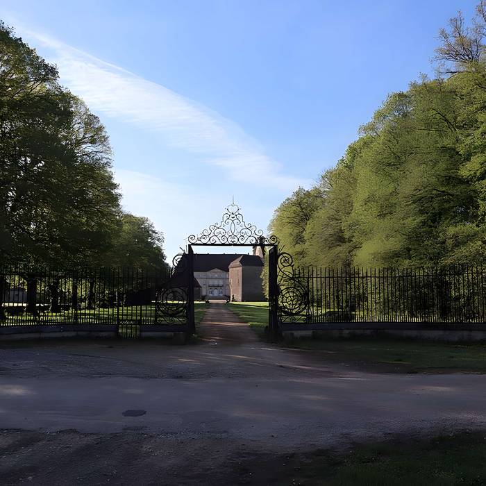 Photo de Vieux château de Thenissey