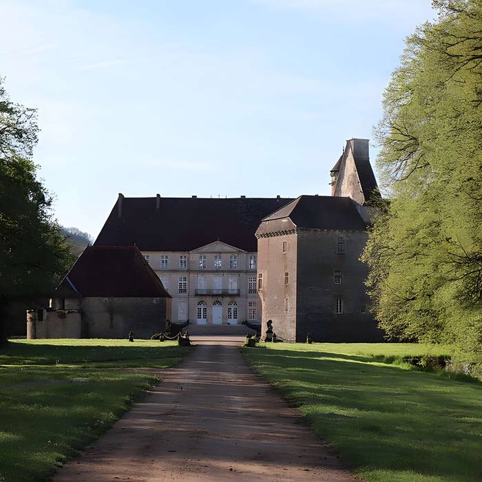 Photo de Vieux château de Thenissey