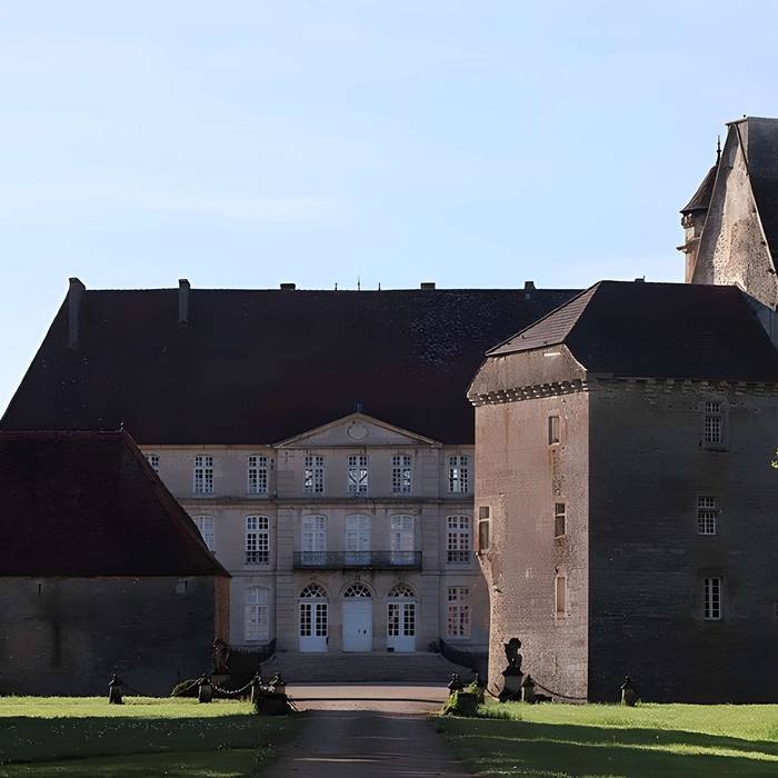Photo de Vieux château de Thenissey