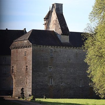 Vieux château de Thenissey