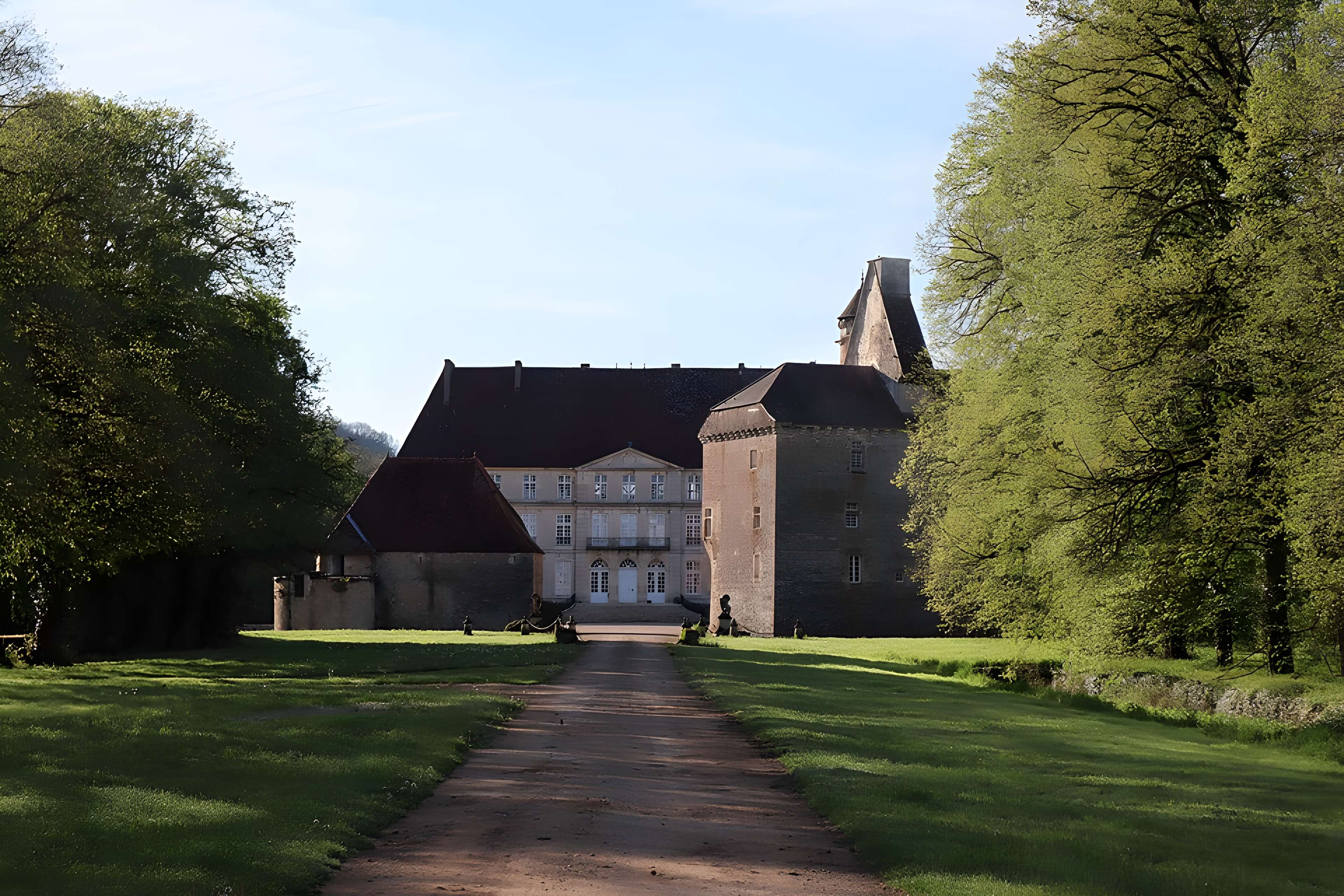 Vieux château de Thenissey