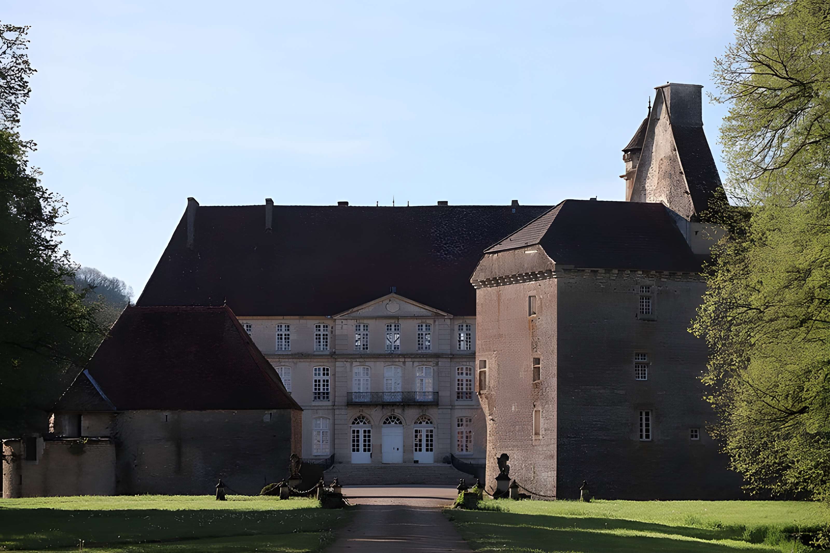 Vieux château de Thenissey