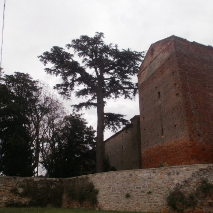 Photo de Château de Vallègue