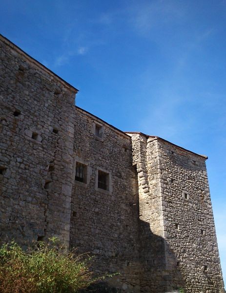 Photo de Château de Vaucour