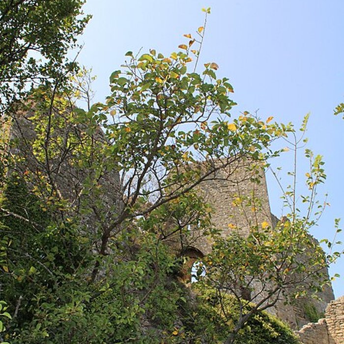 Photo de Château de Vernègues