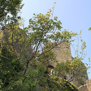 Château de Vernègues