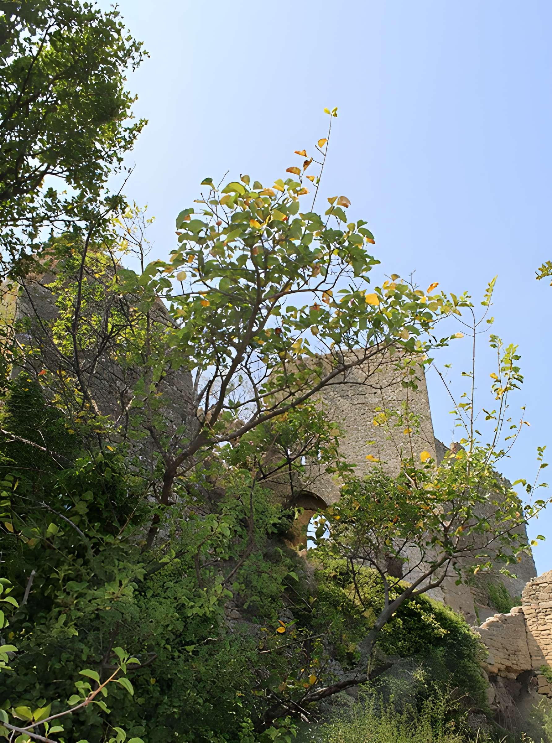 Château de Vernègues