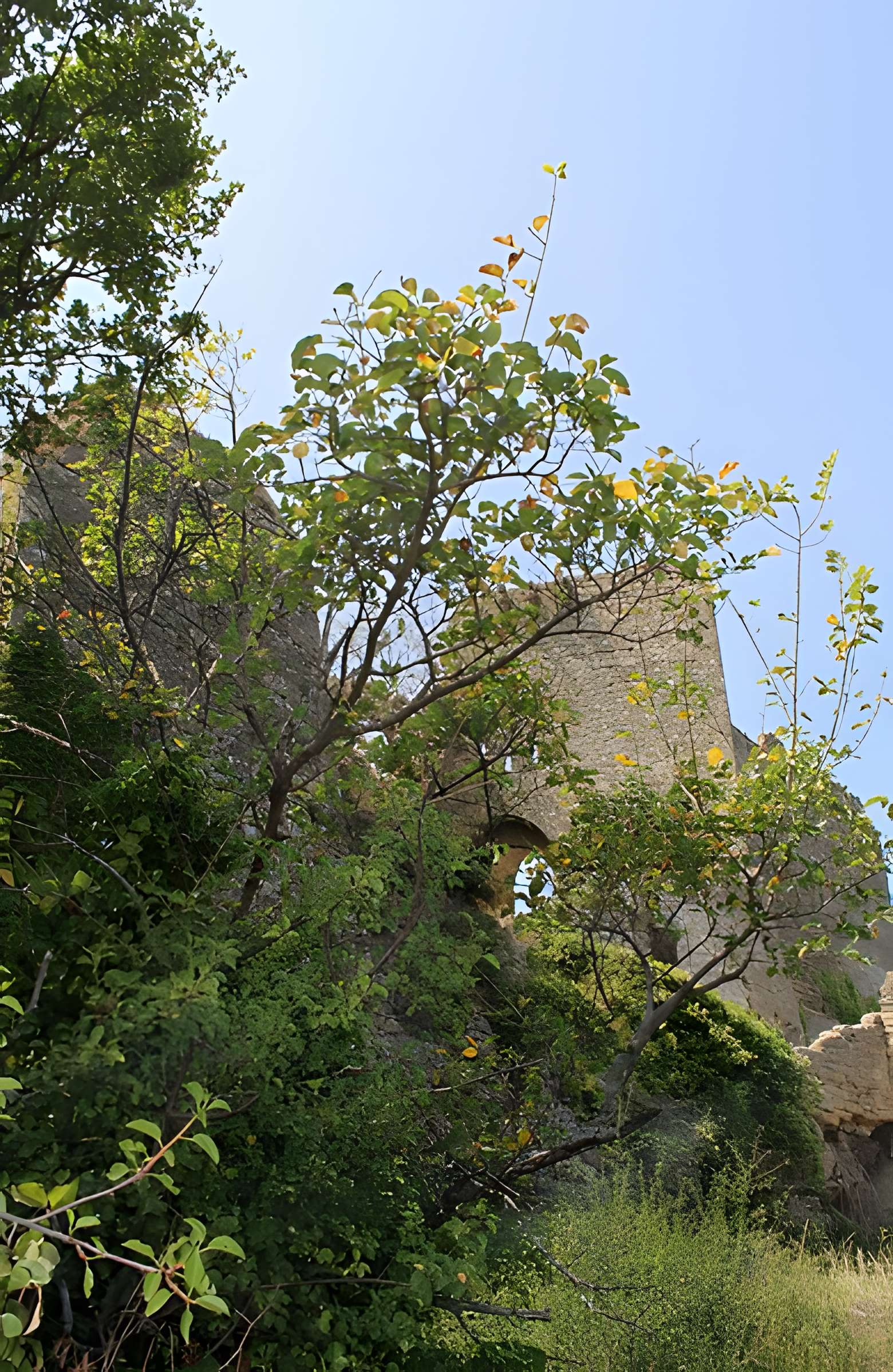 Château de Vernègues