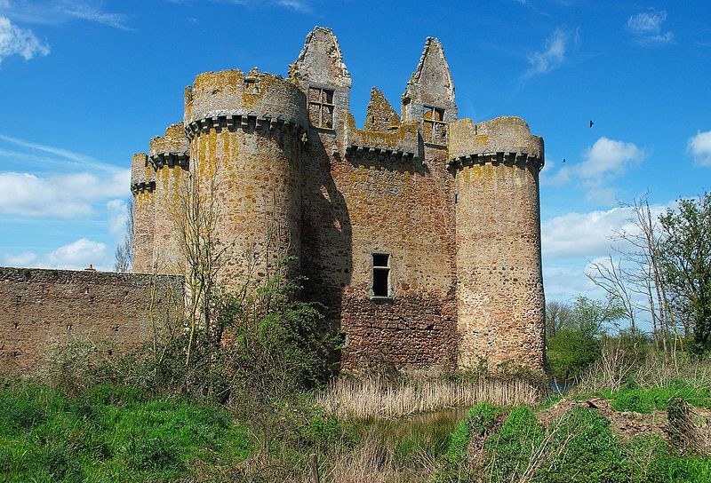 Photo de Château d'Ebaupinay
