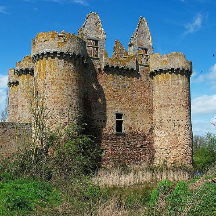 Photo de Ruines du château de lEbaupinay ou de Baupinay