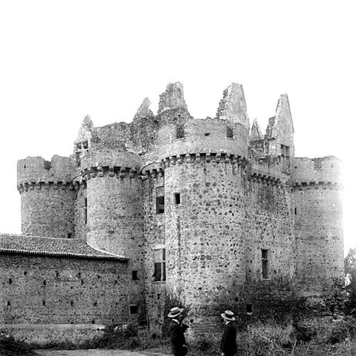 Photo de Ruines du château de lEbaupinay ou de Baupinay