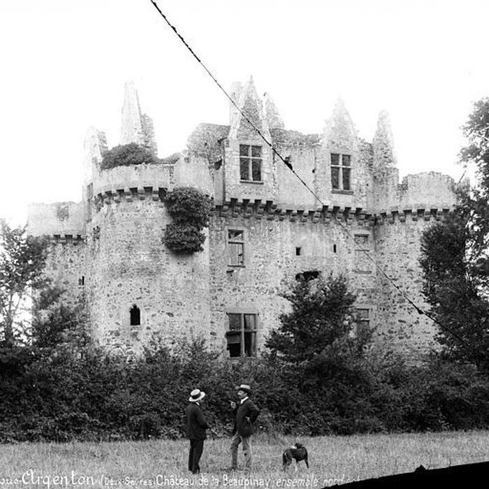 Photo de Ruines du château de lEbaupinay ou de Baupinay