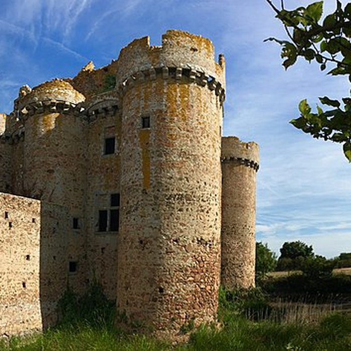 Photo de Ruines du château de lEbaupinay ou de Baupinay