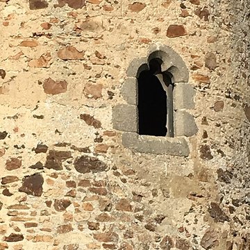 Ruines du château de lEbaupinay ou de Baupinay