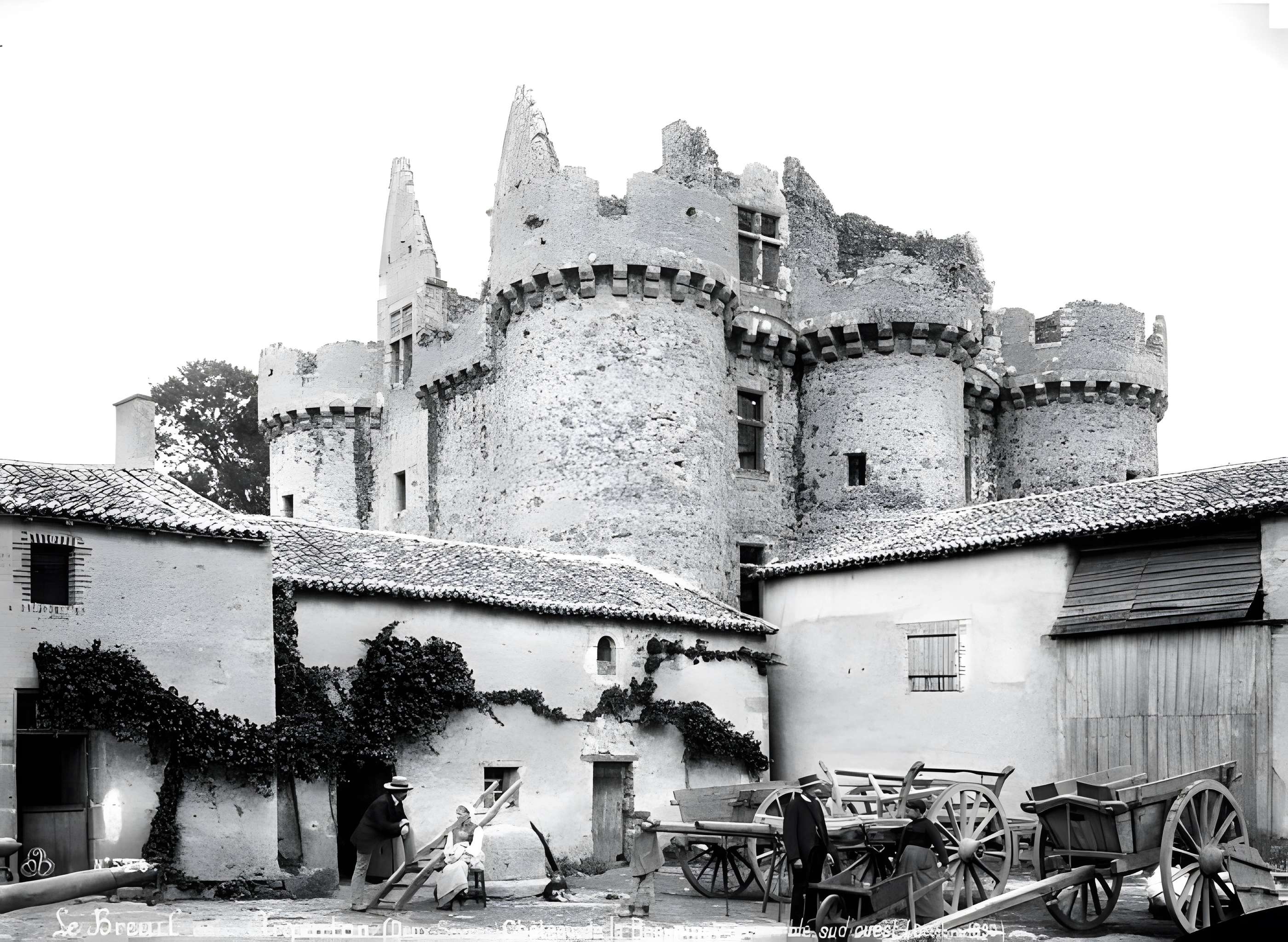 Ruines du château de l'Ebaupinay ou de Baupinay