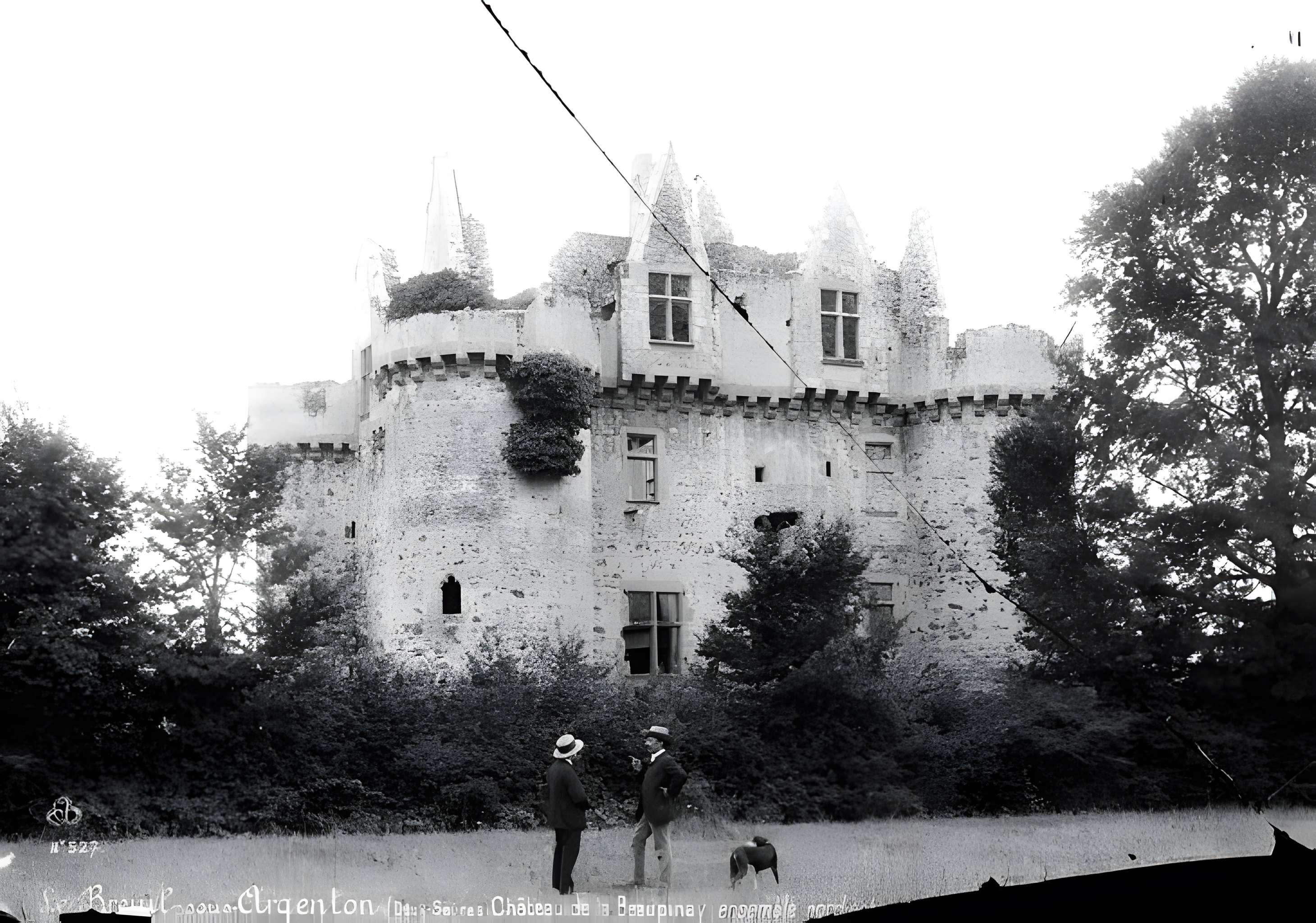 Ruines du château de l'Ebaupinay ou de Baupinay