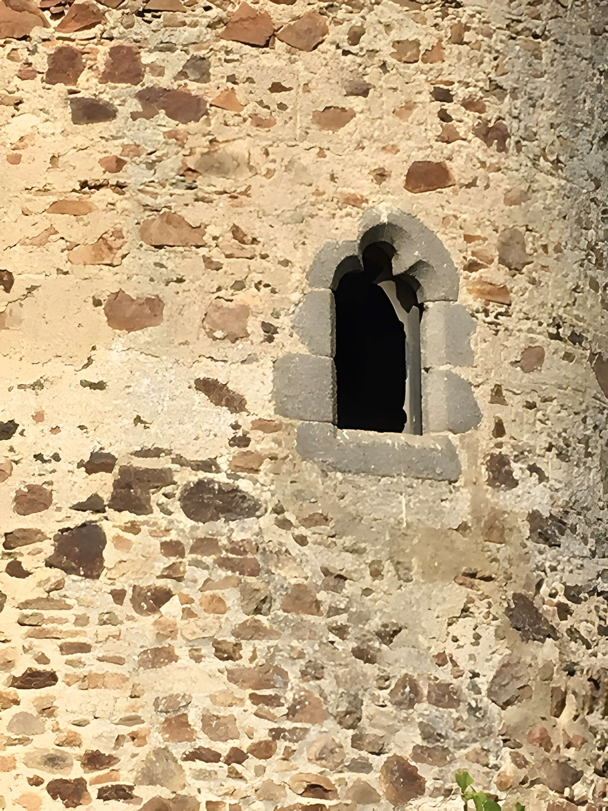 Ruines du château de l'Ebaupinay ou de Baupinay
