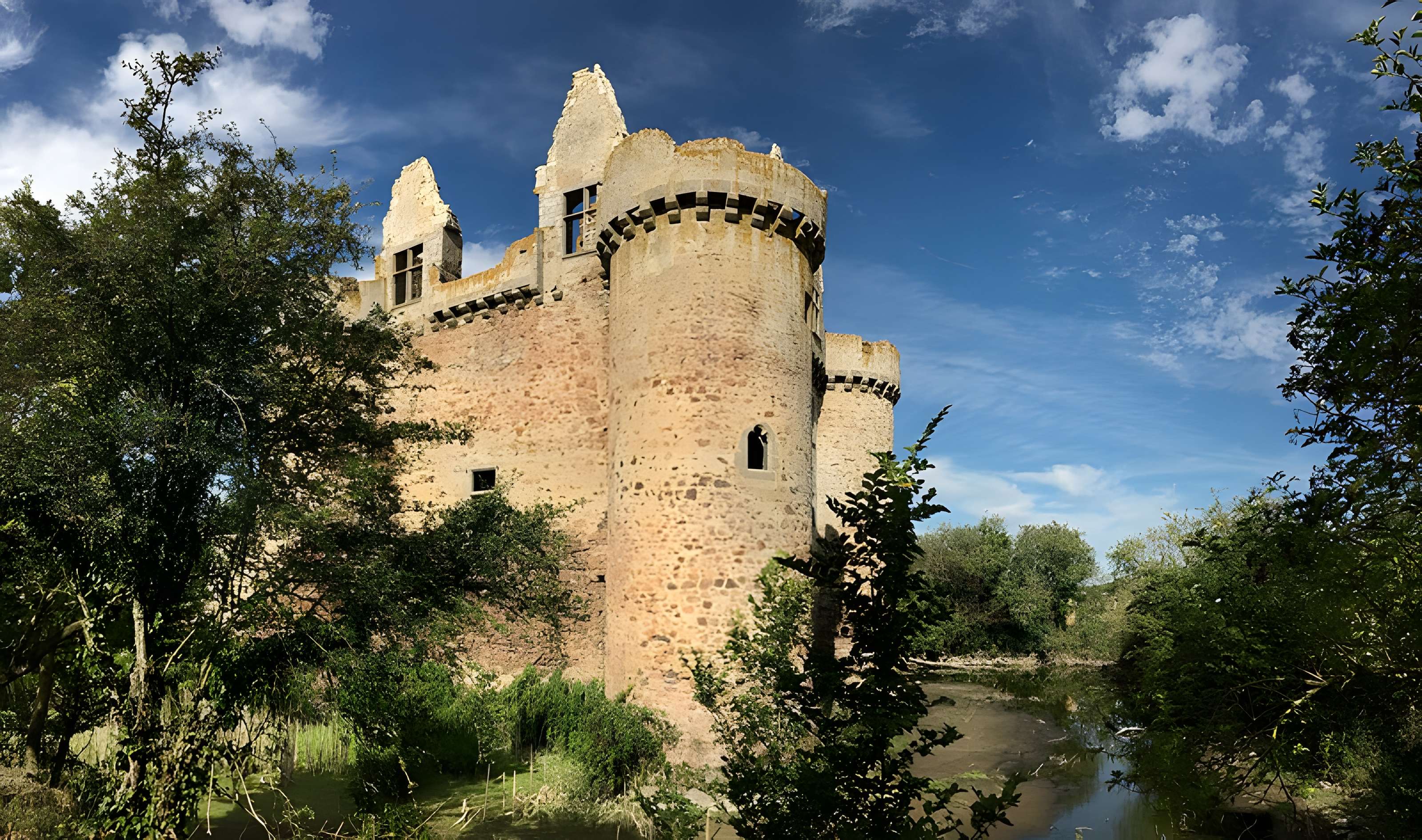 Ruines du château de l'Ebaupinay ou de Baupinay