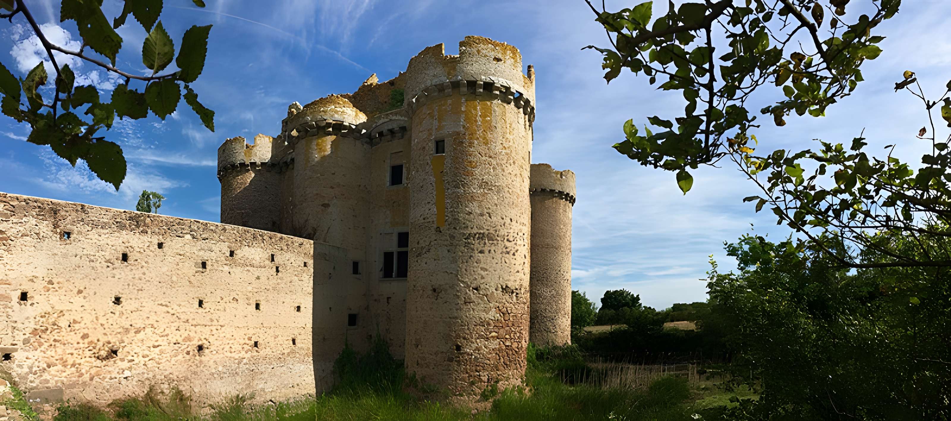 Ruines du château de l'Ebaupinay ou de Baupinay