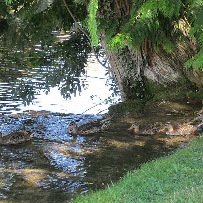 Photo de Château des Abbés de Citeaux