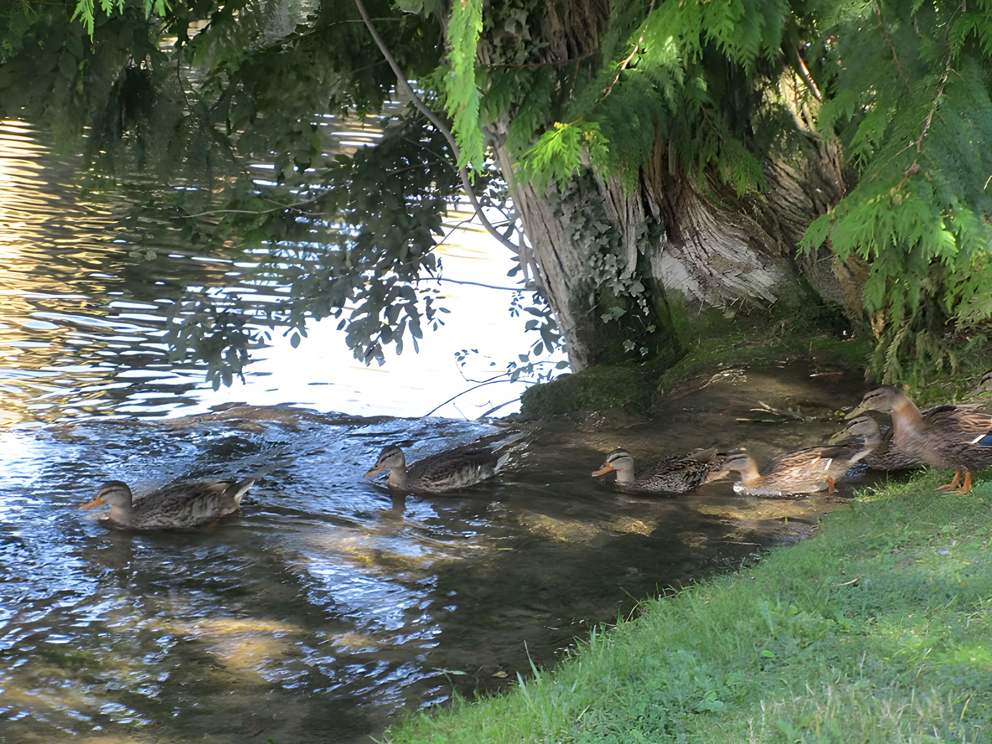 Château des Abbés de Citeaux
