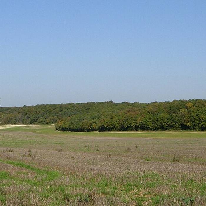 Photo de Château dEsmans