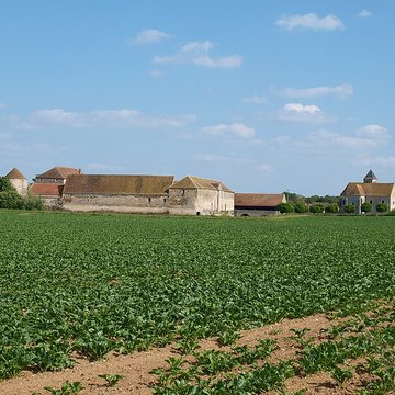 Château dEsmans