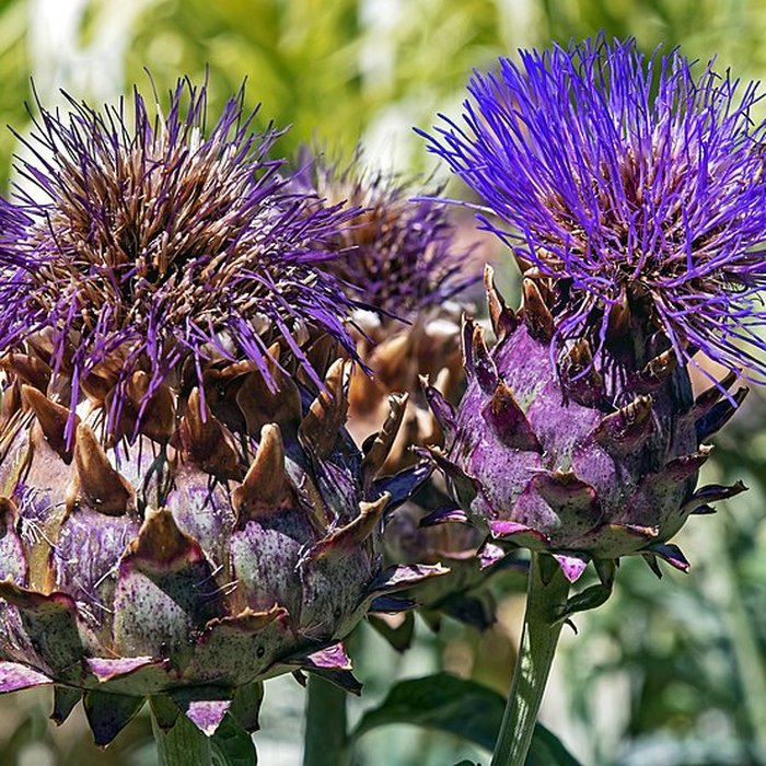 Photo de Château dHutaud