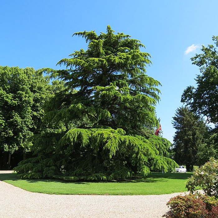 Photo de Château dOmonville