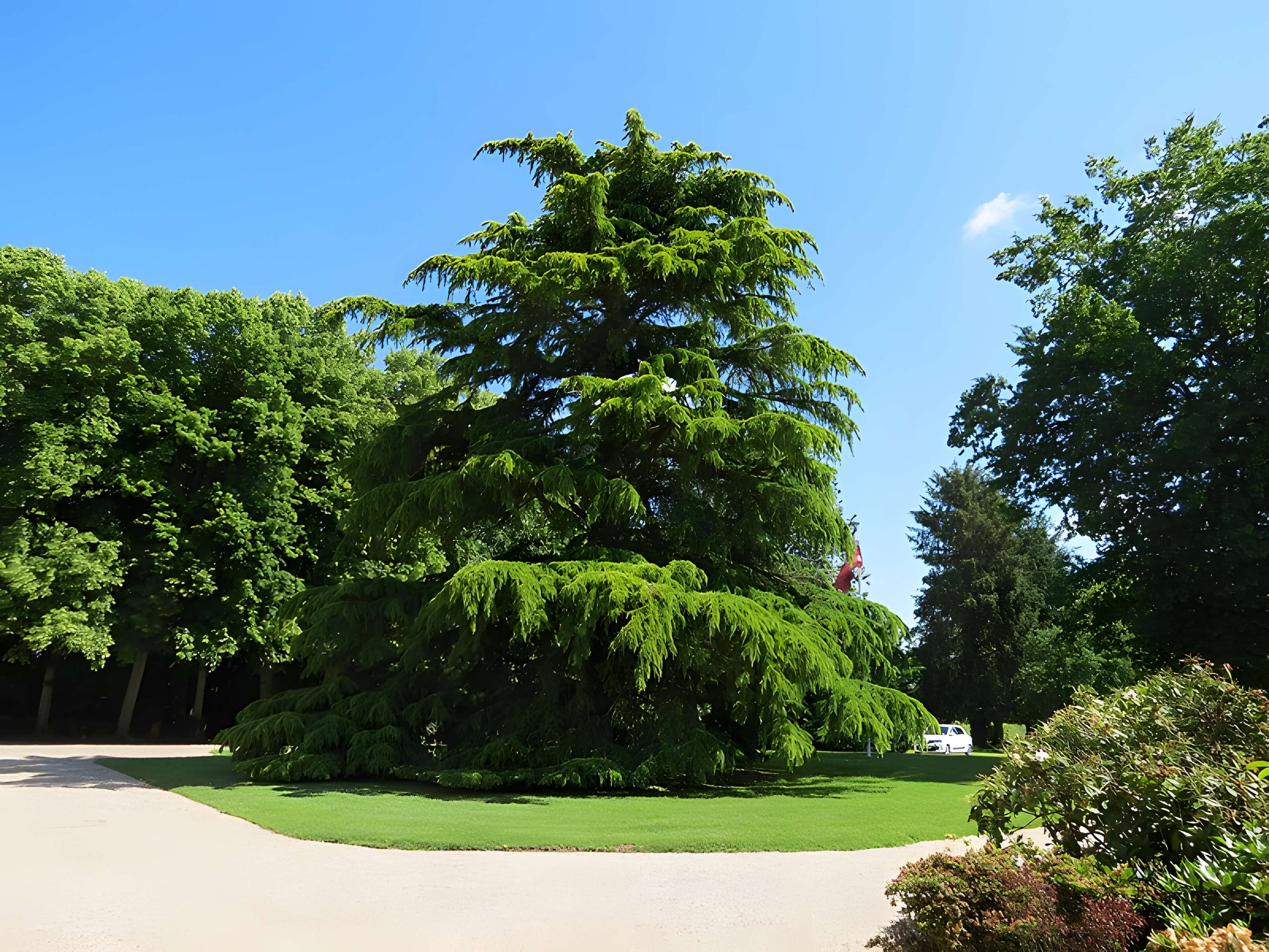 Château d'Omonville