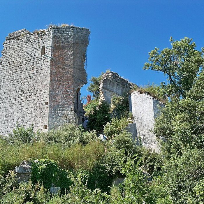 Photo de Château restes du