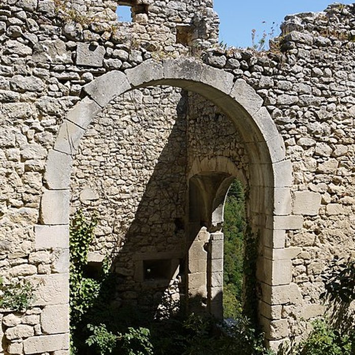 Photo de Château restes du