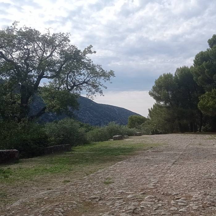 Photo de Château restes du