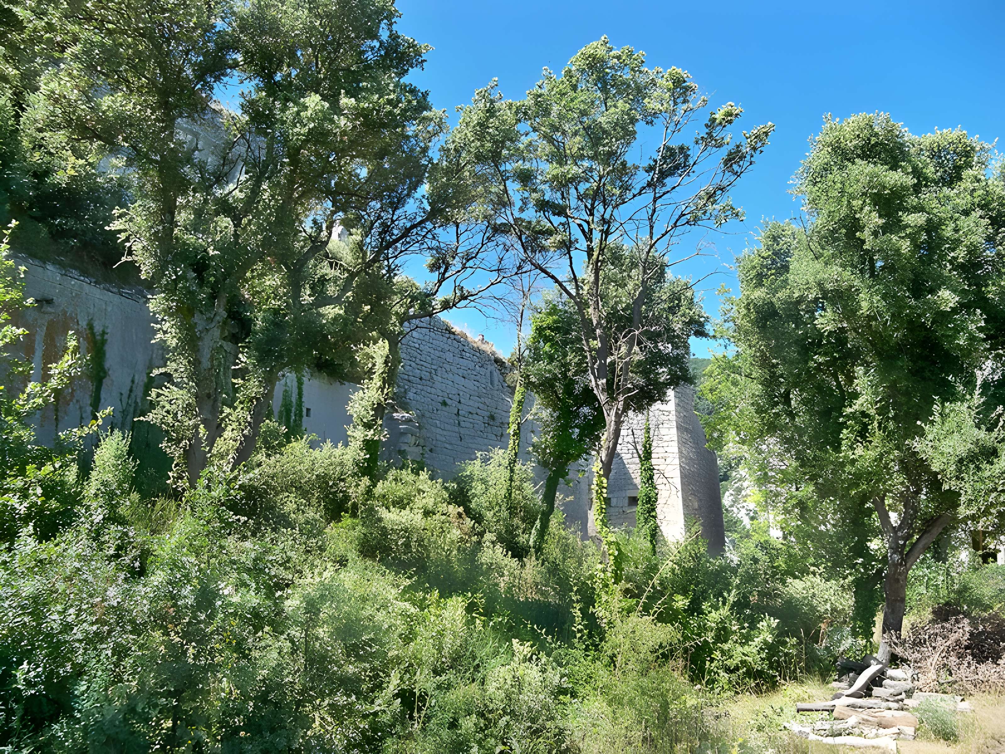 Château (restes du)