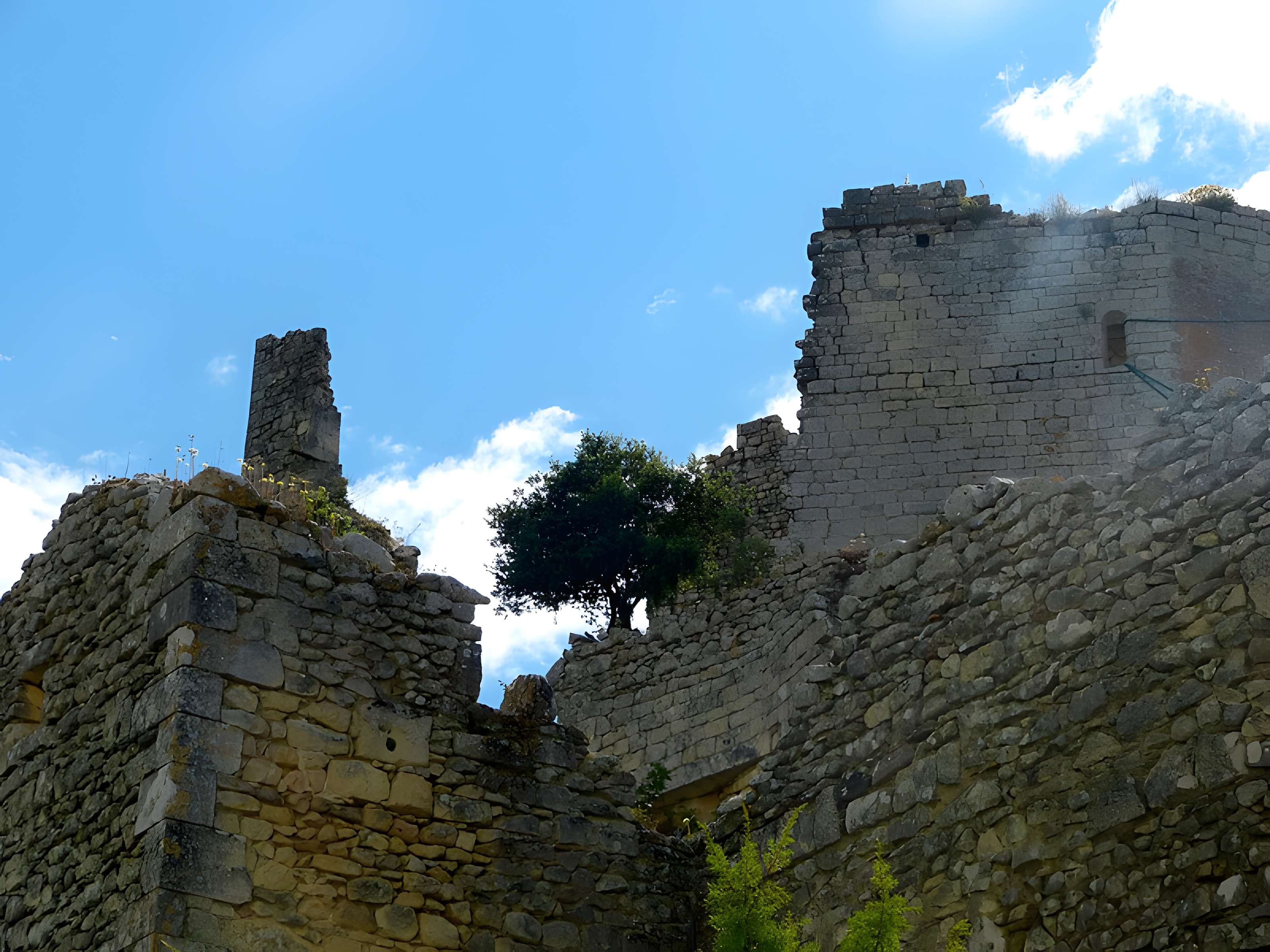 Château (restes du)