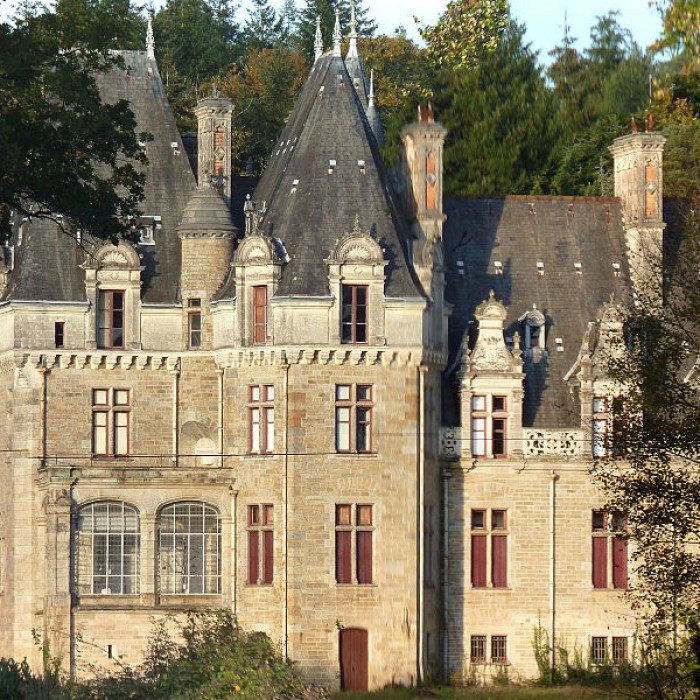 Photo de Château du Brossay